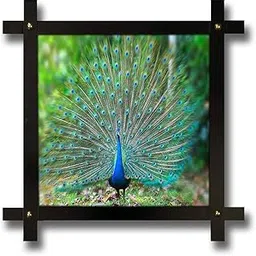 Poster N Frames Cross Wooden Frame Hand-Crafted with Photo of Peacock Size (16.5x16.5inch,wood,multicolour)-picture-31