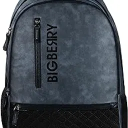 bigberry Newage Classic Leatherite Faux Leather Backpack With Multiple Compartments & Organiser 28 L Laptop Backpack-picture-15