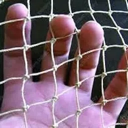 EasyShoppingBazaar Bird Net/Pigeon Net/Anti Bird Net UV Stabilized HDPE (with Clips & Tying Ropes) - 17mm Mesh Size - White - 10 x 30 Ft-picture-32