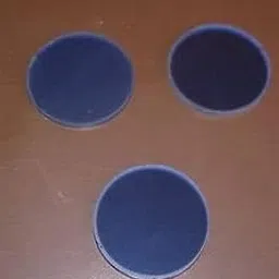 FZN Blue & Frosted Filter dia 32mm for Biology Compound Microscope - Set of 2-image-20