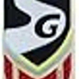 SG 2020 Limited Edition Kashmir Willow Cricket Bat-image-55