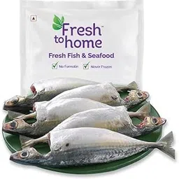 FreshToHome Mackerel/Ayala/Bangda/Aylai (5 to 9 Count/kg) | 480g to 550g Pack | Whole Cleaned, Includes Head Pieces | Fresh | Never Frozen-picture-28