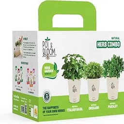 Gardening Kit - Herb Combo Kit. Perfect for Home Garden, Includes - Italian Basil, Oregano and Parsley Seeds, Three 4-inch Pots, Potting Mix,Complete Kit for Home Garden-image-84
