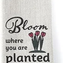 Cotton Hand and Lunch Towels Daily use - Face Towel Pack of 1 (r)-picture-14