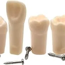 Typodont Fit for Kilgore Nissin 500 Type Dental Model 1:1 Screw-in Replacement Practice Filling Training Teeth Model M8024-6 Practicing Study Teach 6Pcs/Set-image-81
