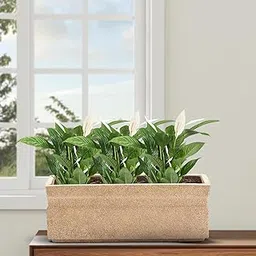BonKaso 21 inch Beige Marble Pot – Tall, Durable & Lightweight Polymer Rectangle Planter for Indoor & Outdoor Use: Home, Office, Garden & Balcony (Gamla/Gamale) image 1