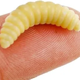 Generic 100 Pieces/Set Fishing Soft Grub Worm Bread Bug Maggots Lures Baits Beige-picture-24