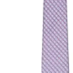louis philippe Men Lilac Embroidered Tie-picture-58