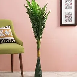 Homenique Big Artificial Palm Tree Areca Plant for Home Decor - 3.5 Feet-picture-32