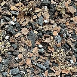 Kolkata Orchid Online Orchid Potting Mix { Best Orchid Medium 800 Grams } Dedrobium Phalaenopsis Cattleya Potting Soil-picture-21