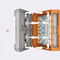 TM&W - 64 Eggs Mini Advance Hatching Egg Incubator Fully automatic egg turning Household Incubators-picture-37