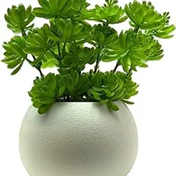 SKYGREEN Artificial Plants with Pot | Small Plants with Pot | Fake Plastic Plants with Pot | Artificial Plant for Home & Office Decor | Indoor Plants | Artificial Plants for Decoration | (BN-104)-picture-23