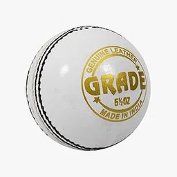 DSC 1500307 Leather Cricket Ball, Size Club (White)-picture-13