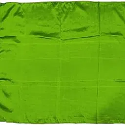 La Jarden® Rectangle flag for Branding and Promotions, Directional Signage, Decorative Accents, Themed Decor, VIP Areas and Sponsorship, hotel events and business carnival grounds, contributing to branding, Realestate site (Parrot Green) Pack of 1 [31x38.5 Inches]-image-64