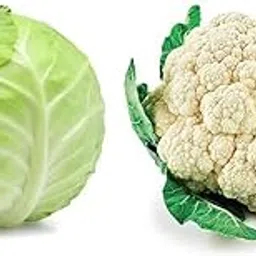 ‎Garden Basket Hubb Vegetable Cauliflower Seeds with Cabbage Seeds | Phool Gobhi, Banda Gobhi Seeds | Cauliflower Seeds For Planting, Home, Garden, Outdoor (100g)-image-8