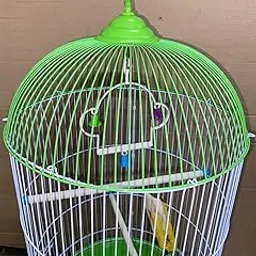 Bird cage for Budgies,Finches,Love Birds,with Cuttlefish BoneHolder,Cuttlefish Bone,2 Cups & Perch Stick,1 Swing-L/Circumference-32cms/12.5", H-66cms/26.Colors May Vary-picture-39