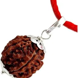 priyanshu navratn Certified 6 Mukhi Rudraksha Pendant Original Silver Plated 6 Face Rudraksha Locket Man & Women-picture-32