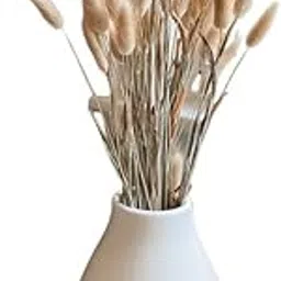 Arte Casa Imported Bunny Tails Brown - Naturally Dried Stems, Perfect for Rustic Home Decor (Set of 30) (Pack of 1)-image-26