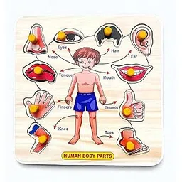 Wooden Human Body Puzzles with Picture Educational Board for Kids Human Body Knob Early Educational Learning Wooden Puzzle Board for Kids Children Boys Girls (Small Body Parts)-picture-33