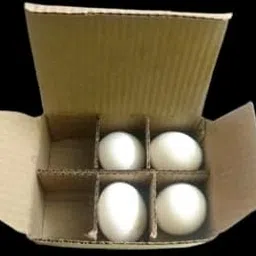 6Egg-Corrugated Egg Box, Pack of 50-picture-13