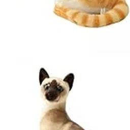 Bnf® 2pcs Simulation Siamese Cats Animal Plush Padding Birthday Gifts Baby | Toys for Baby | Plush Baby Toys-image-10