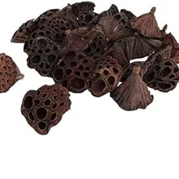 MERISHOPP® 300pcs Natural Dried Lotus pod Flowers Fruit for Floral Decor Crafts DIY |Crafts | Home Arts & Crafts | Floral Crafts-picture-34