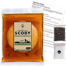 Peepal Farm Products Kombucha Scoby Liquid Natural Probiotic Culture And Starter Black Tea 100% Natural, No Preservative Keto-Friendly, Low Sugar, Vegan, Gluten-Free (400Ml), 400 Mg-image-7