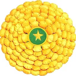 Interior Antique and Luxury Design Foot Mat (Handcrafted), 18x18 Inches, Rose Design, Anti-Slip Backing (Yellow Rose Foot Mat) image 1