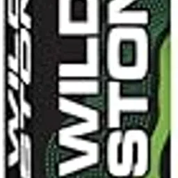 Wild Stone Fprest Spice Perfume for men, 10ml | Pocket Perfume for Men-picture-19