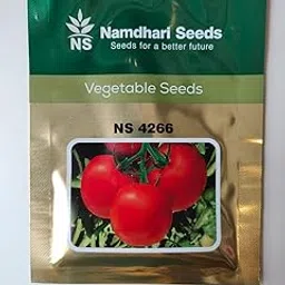 Namdhari Seeds NS 4266 Tomato Vegetable Seeds-picture-13