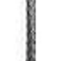 PETWORLD Dog Walking Whip Stick-picture-13