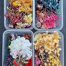 MSGH Dried Flowers for Resin Art - Natural Dry Flowers for Decoration, Candle Making, Soap Making, Nail Art & DIY(Assorted) (01)-picture-28