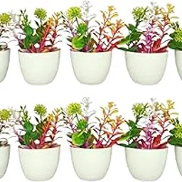 (Pack of 10) Decorative Artificial Flower Pots - Premium Mini Faux Floral Set with Unique Roly Poly Design, Submerge Washable & Durable for Home/Office Decor-image-4