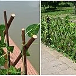 HEAVENGLOW Retractable Artificial Garden Fence Expandable Faux Ivy Privacy Fence Decor-picture-31