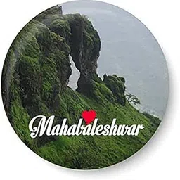 Ananta Design Gifts MDF Fridge Magnet Mahabaleshwar Multicolour-picture-32