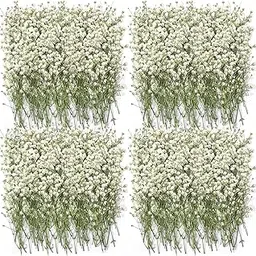 Lasnten 200 Pcs Mini Dried Babys Breath Flowers Bulk White Dried Pressed Natural Flowers Real Gypsophila Baby Breath for Wedding Resin Art Craft DIY Invitations Card Making Home Party Floral Decor-image-12