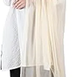 seva chikan Lucknowi Chikankari Fawn Chiffon Plain Dupatta for Women SCL12008-picture-41