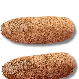 Organic Herbal Natural Bathing Brushes - Pack of 2 Loofah Sponges for Men and Women - Skin-Friendly, Lightweight, Chemical-Free, Eco-Friendly Body Scrubbers sun dried-picture-36