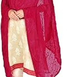 Woman's Embrodiered Chiffon Dupatta-image-44