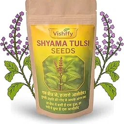 Vishffy Shyama Tulsi Seeds for Planting – Holy Basil (Tulsi) Seeds for Home Gardening, Pots & Outdoor Use | Indian Sacred Plant Seeds for Easy Growth & Cultivation (Pack of 1)-image-13
