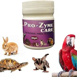 Pet Care International (PCI) Pro-Zyme Care || Probiotics with Digestive Enzymes for Healthy Digestive System || Designed for Birds, Reptiles, Hamster, Iguana, Gecko, Dwarf, Gerbil || 50grm-image-1