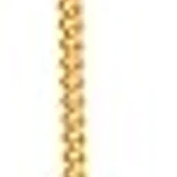 Aradhana Anishi Long Mangtikka-image-9