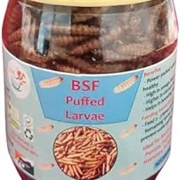 Premium Dried Black Soldier Fly Larvae - 50g Pack | High Protein, Natural Nutrient-Rich Feed for Pets, Birds, and Aquatic Animals-picture-18