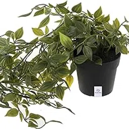 Heart Home Mini Plastic Potted Vine Plant for Home Office Decoration, Plastic Vine with Black Plastic Pots, Fake Plant for Bathroom Décor, Green-KUBMART11602-image-65