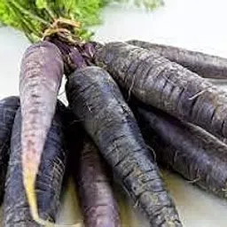 Organic Purple Carrot Seed-picture-15