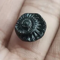 Sudarshan Shaligram from Nepal Gandaki River Chakra Saligram Stone | Ring & Pendant Size (Half Inch)-picture-13