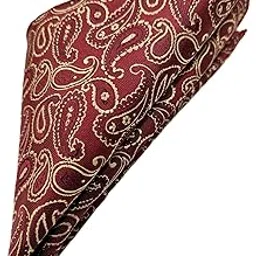 voici France Men's Pocket Square Paisley Design Pure Satin Free Size-picture-17