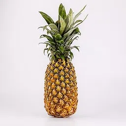 Pluckk Fresh Pineapple (Ananas), 1 Pc (approx. 1.5+ kg)-picture-16