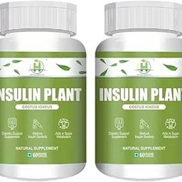 Healthy Nutrition - Just for the Health of it Insulin Plant (Costus Igneus) 60 Vegetarian Capsules- Natural Gluten Free-Pack Of 2-picture-42
