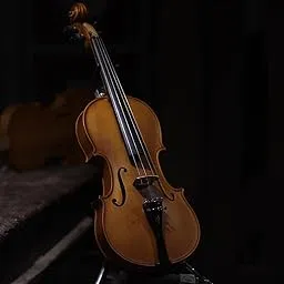 Violin 4/4 with Grains front spruce wood back and neck aged maple tailpiece and all fitting ebony full set icluded horse hair quality bow, rosin with solid violin case-picture-53